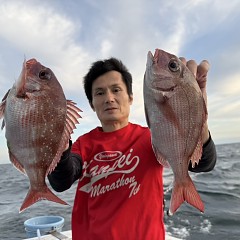 9月 21日（日）午後便・ウタセ真鯛の写真その4