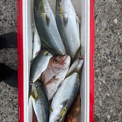 9月22日（月）午前便・タテ釣りの写真その7