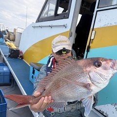9月23日 （火）午後便・ウタセ真鯛の写真その2