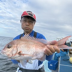 9月23日 （火）午後便・ウタセ真鯛の写真その3