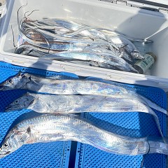 9月 26日（金）午前便・タチウオ釣りの写真その5