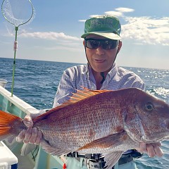 9月 26日（金）午後便・ウタセ真鯛の写真その2