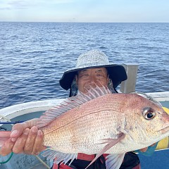 9月 26日（金）午後便・ウタセ真鯛の写真その7
