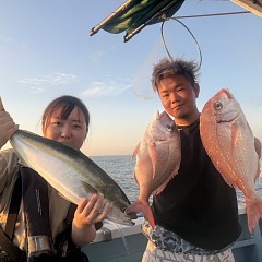 9月 27日（土）午後便・ウタセ真鯛の写真その1