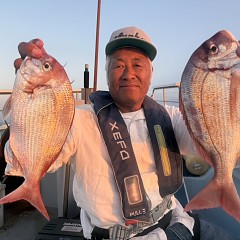 9月 27日（土）午後便・ウタセ真鯛の写真その4