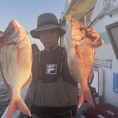 9月 27日（土）午後便・ウタセ真鯛の写真その5