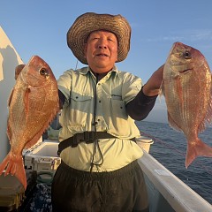 9月 27日（土）午後便・ウタセ真鯛の写真その6