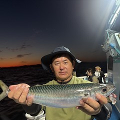 9月 27日（土）午後便・ウタセ真鯛の写真その8