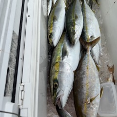 9月 28日（日）午前便・タテ釣りの写真その10