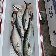 9月 28日（日）午前便・タテ釣りの写真その11