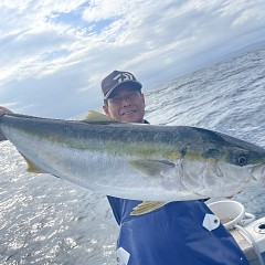 9月 28日（日）午後便・ウタセ真鯛の写真その2