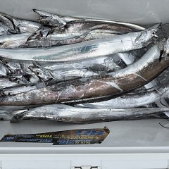 9月 29日（月）午前便・タチウオ釣りの写真その11