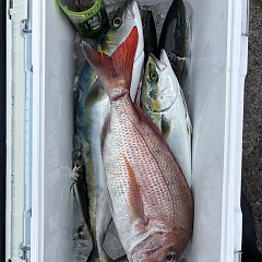 9月29日（月）午前便・タテ釣りの写真その6