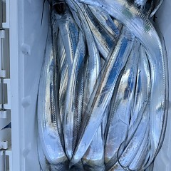 9月 30日（火）午前便・タチウオ釣りの写真その3