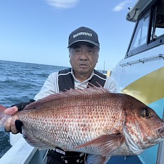 9月 30日（火）午後便・ウタセ真鯛の写真その2