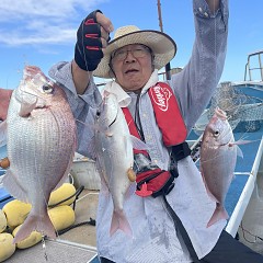 9月 30日（火）午後便・ウタセ真鯛の写真その4