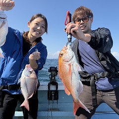 10月 1日（水）午後便・ウタセ真鯛の写真その1