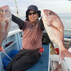 10月 1日（水）午後便・ウタセ真鯛の写真その4