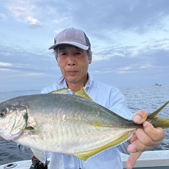 10月 2日（金）午後便・ウタセ真鯛の写真その2