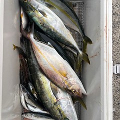 10月4日（土）午後便・タテ釣りの写真その6