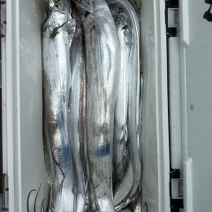 10月 5日（日） 午前便・タチウオ釣りの写真その9