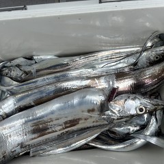 10月 5日（日） 午前便・タチウオ釣りの写真その10