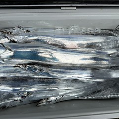 10月 5日（日） 午前便・タチウオ釣りの写真その11