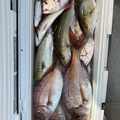 10月5日（日）午後便・ウタセマダイ釣りの写真その6