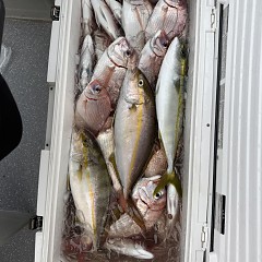 10月5日（日）午後便・ウタセマダイ釣りの写真その7