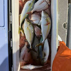 10月5日（日）午後便・ウタセマダイ釣りの写真その8