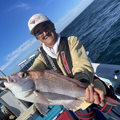 10月 6日（月）午後便・ウタセ真鯛の写真その6