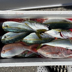 10月6日（月）午前便・タテ釣りの写真その2