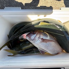 10月6日（月）午前便・タテ釣りの写真その3
