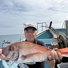 10月 8日（水）午後便・ウタセ真鯛の写真その3