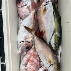 10月 8日（水）午後便・ウタセ真鯛の写真その9