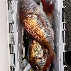 10月8日（水）午後便・ウタセマダイ釣りの写真その3