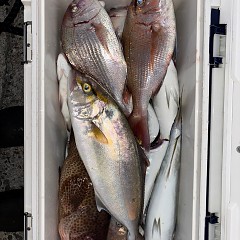 10月8日（水）午後便・ウタセマダイ釣りの写真その6