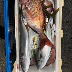 10月8日（水）午後便・ウタセマダイ釣りの写真その7