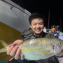 10月 10日(金)午後便・ウタセ真鯛の写真その8