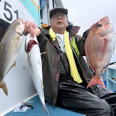10月 10日(金)午後便・ウタセ真鯛の写真その1