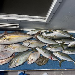 10月 10日(金)午後便・ウタセ真鯛の写真その6