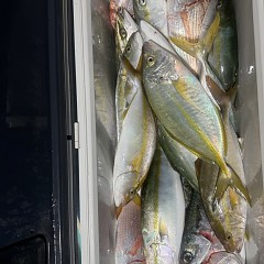 10月 10日(金)午後便・ウタセ真鯛の写真その7