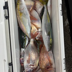 10月10日（金）午後便・ウタセマダイ釣りの写真その3