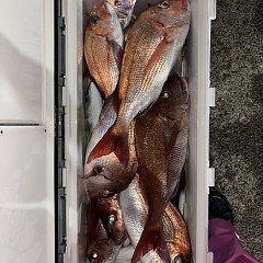 10月10日（金）午後便・ウタセマダイ釣りの写真その5