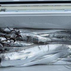 10月 11日(土)午前便・タチウオ釣りの写真その8