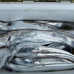 10月 11日(土)午前便・タチウオ釣りの写真その11