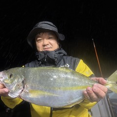 10月 11日(土)午後便・ウタセ真鯛の写真その2