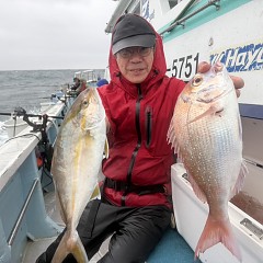 10月 11日(土)午後便・ウタセ真鯛の写真その3