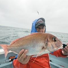 10月 11日(土)午後便・ウタセ真鯛の写真その4