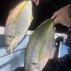 10月 11日(土)午後便・ウタセ真鯛の写真その6